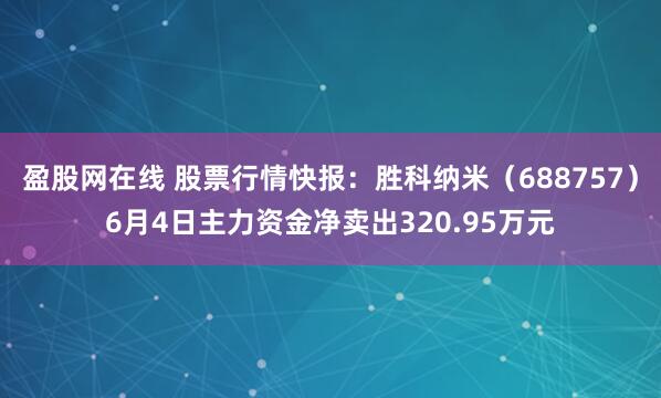 盈股网在线 股票行情快报：胜科纳米（688757）6月4日主力资金净卖出320.95万元