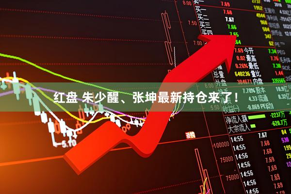 红盘 朱少醒、张坤最新持仓来了！
