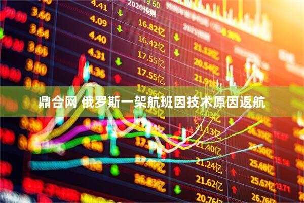 鼎合网 俄罗斯一架航班因技术原因返航