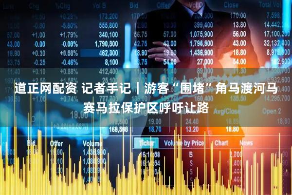道正网配资 记者手记｜游客“围堵”角马渡河　马赛马拉保护区呼吁让路