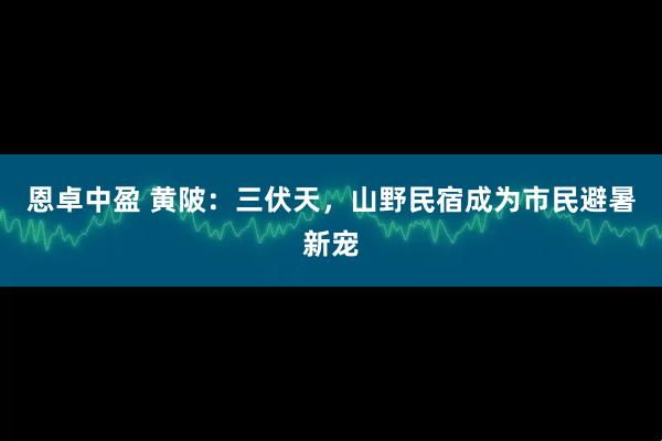 恩卓中盈 黄陂：三伏天，山野民宿成为市民避暑新宠