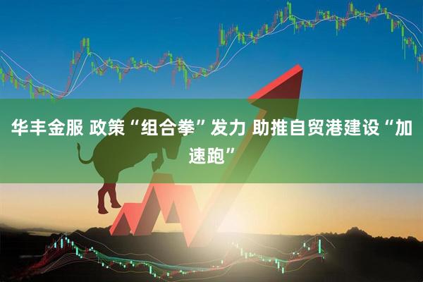华丰金服 政策“组合拳”发力 助推自贸港建设“加速跑”
