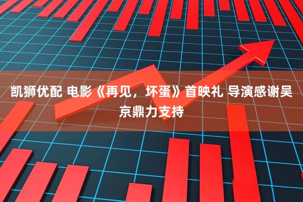 凯狮优配 电影《再见，坏蛋》首映礼 导演感谢吴京鼎力支持