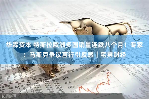 华霖资本 特斯拉欧洲多国销量连跌八个月！专家：马斯克争议言行引反感｜宅男财经