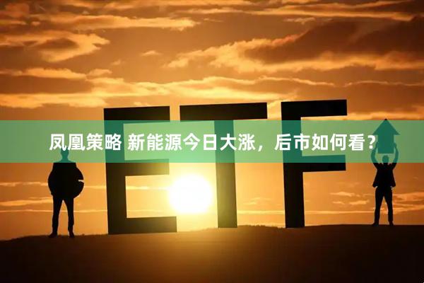 凤凰策略 新能源今日大涨，后市如何看？