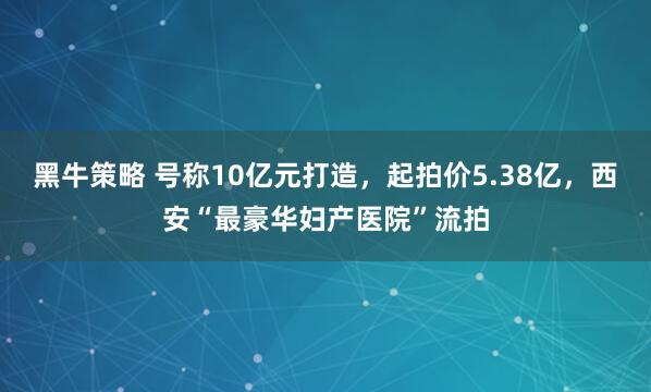 黑牛策略 号称10亿元打造，起拍价5.38亿，西安“最豪华妇产医院”流拍
